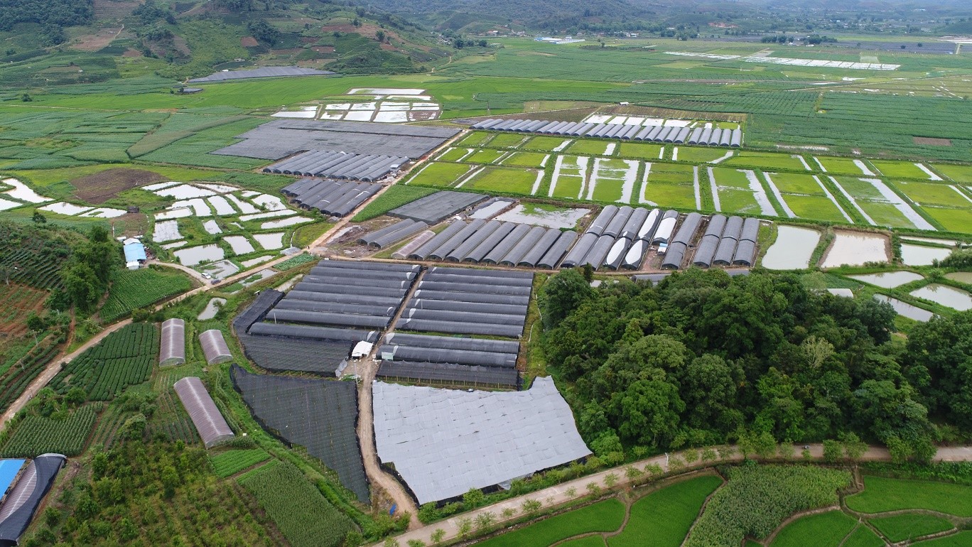 4.西双版纳勐旺基地.JPG