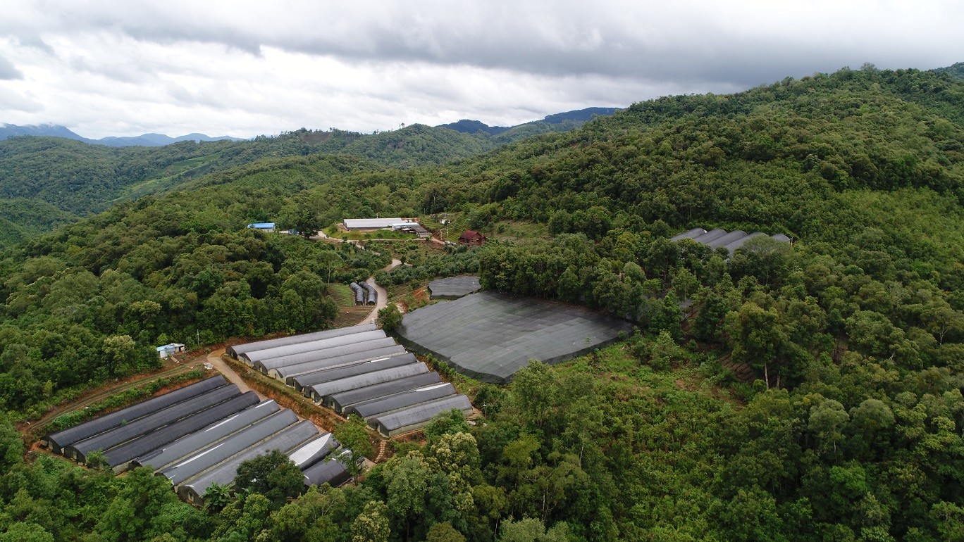 3.普洱思茅石膏箐基地.JPG