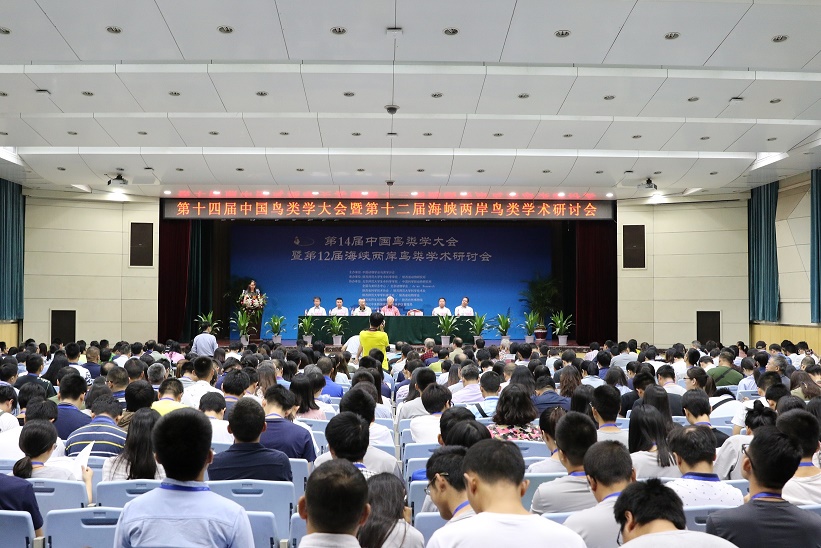 1.大会现场.jpg 1.大会现场.jpg