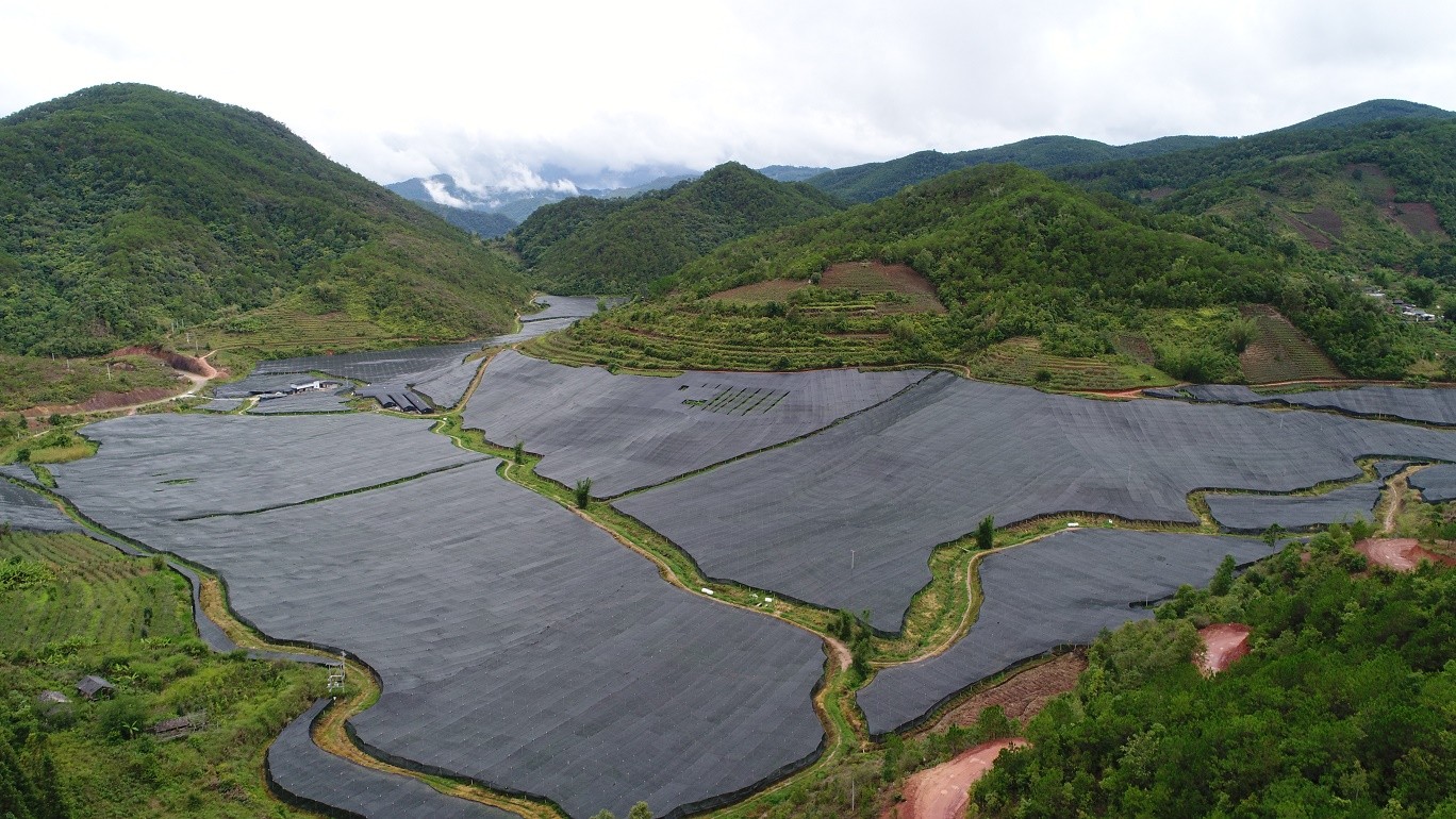 6.普洱景谷白马山基地.JPG